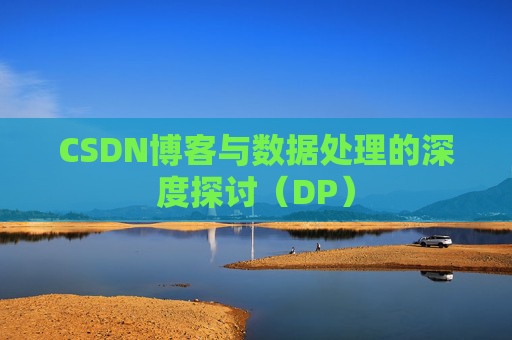 CSDN博客与数据处理的深度探讨（DP）